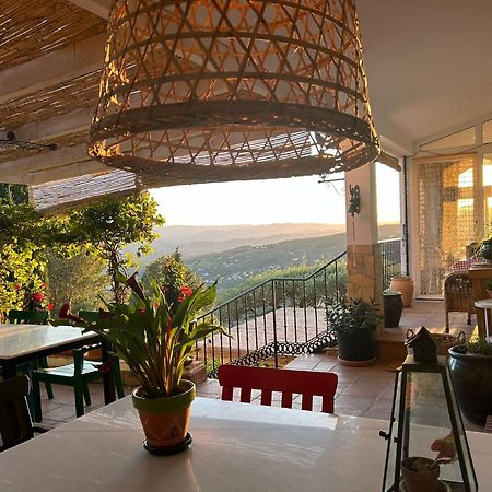 Alcaucín El Nispero Dulce Bed & Breakfast エクステリア 写真