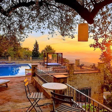 Alcaucín El Nispero Dulce Bed & Breakfast エクステリア 写真