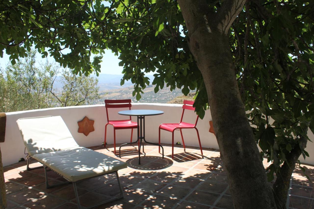 Alcaucín El Nispero Dulce Bed & Breakfast エクステリア 写真