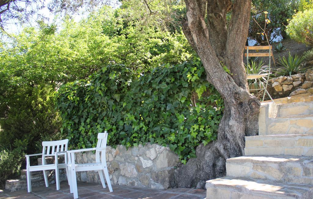 Alcaucín El Nispero Dulce Bed & Breakfast エクステリア 写真